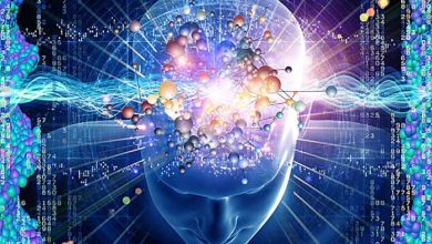 ذهن و مغز و روح