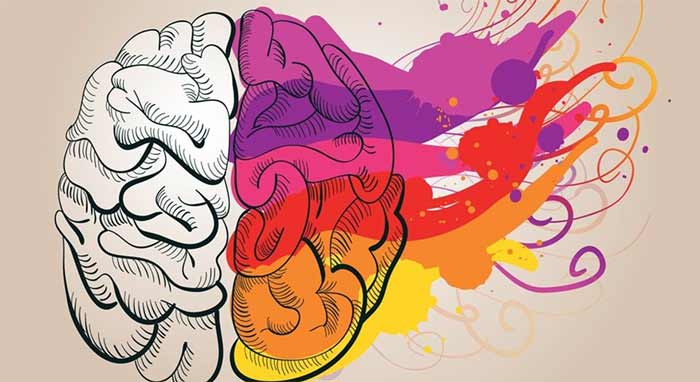 تفاوت ذهن و مغز