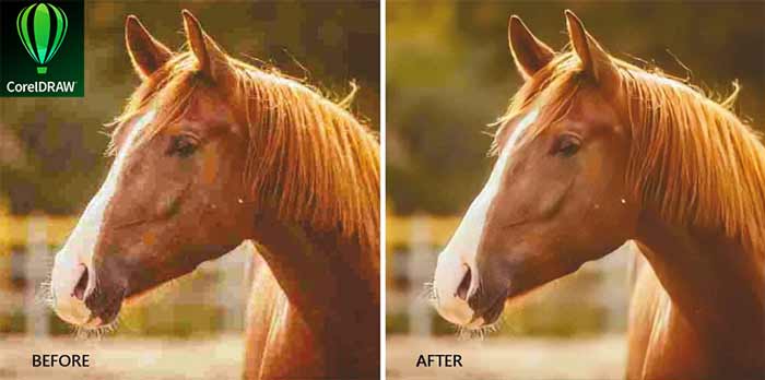 بالا بردن کیفیت عکس بالا بردن کیفیت عکس در کورل