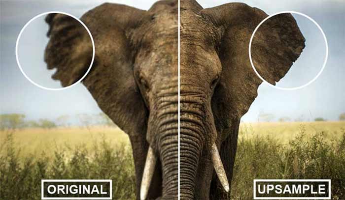 بالا بردن کیفیت عکس قبل و بعد عکس در کورل دراو