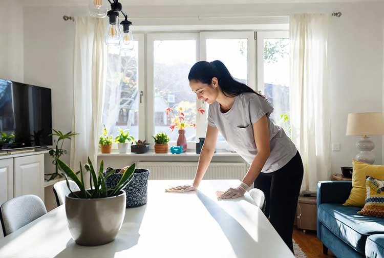 روش‌های نوین تمیزکاری منزل