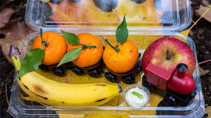 تزئین قطار میوه